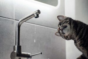 Харківщина: Райцентр без світла й води. Перебої з комунікаціями.