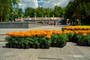 Розквіт Харкова: комунальники дарують місту яскраві клумби (фото)