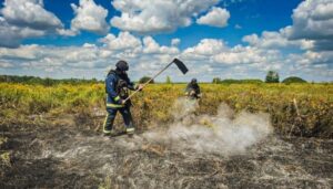 Харківщина палає: русняві дрони сіють вогонь на пшеничних ланах.