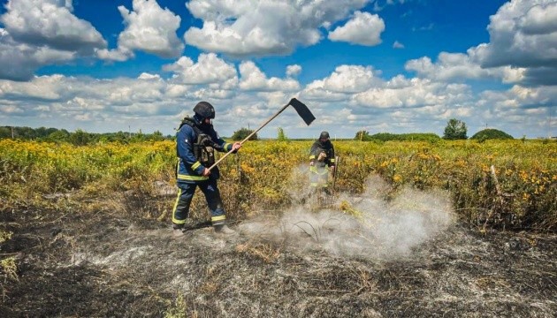 Харківщина палає: русняві дрони сіють вогонь на пшеничних ланах.