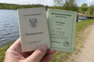 Українка в Німеччині: несподівані правила, що шокували біженку.