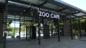 ZOO-кафе Харкова: 5 років затишку, зустрічей та смачних історій.