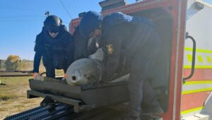 Невибухла 500-кг авіабомба влучила на підприємство на Харківщині: фото